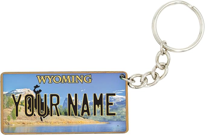 License Plate Keychain - Personalized - All States Multicolor