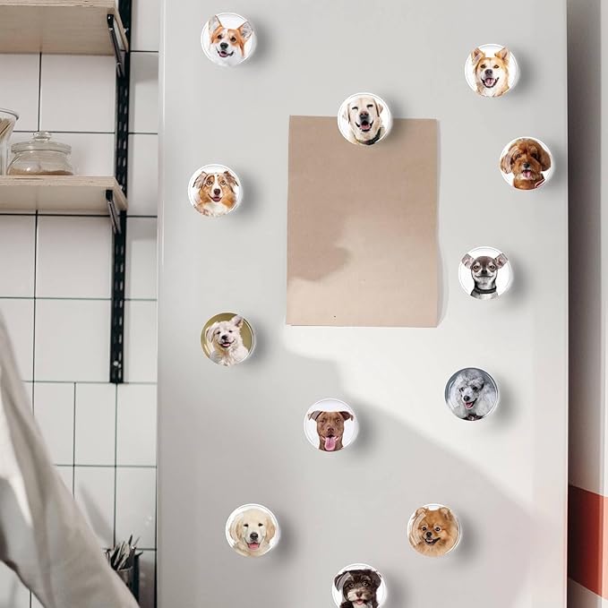 12Pcs Glass Refrigerator Magnets - Fridge Magnets Decoration for Classroom, Locker, Office Whiteboards, Cabinet, Dishwasher and Magnetic Surfaces (Cute Dog Smile)