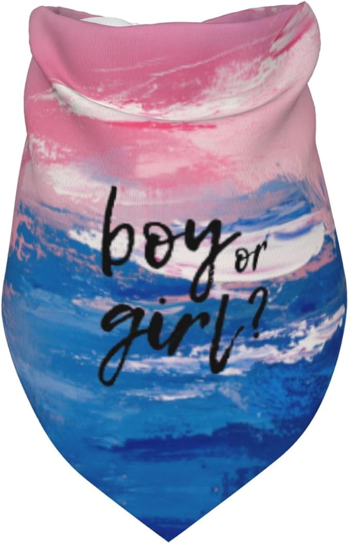 He Or She What Will It Be? Gender Reveal/Baby Announcement Dog Bandana,Pet Neckerchief for Pets Daily Wear Photo Prop Party Supplies (Oil Paint Style)