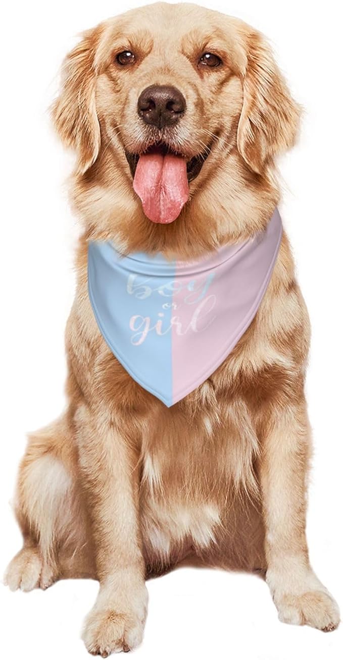 He Or She What Will It Be? Gender Reveal/Baby Announcement Dog Bandana,Pet Neckerchief for Pets Daily Wear Photo Prop Party Supplies (Sequins)