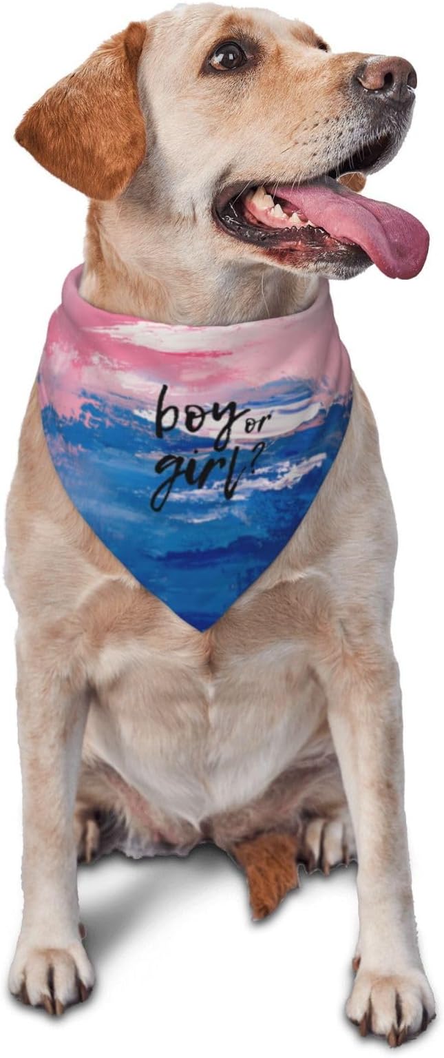 He Or She What Will It Be? Gender Reveal/Baby Announcement Dog Bandana,Pet Neckerchief for Pets Daily Wear Photo Prop Party Supplies (Oil Paint Style)