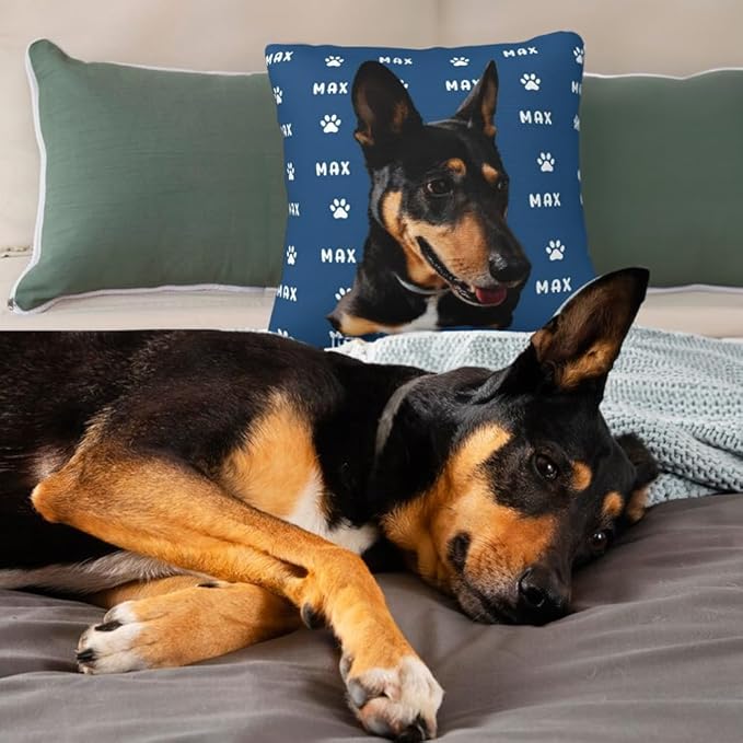 Custom Dog Cat Throw Pillow with Picture＆Name,Personalized Pet Photo Pillowcase with Optional Insert,Pet Memorial Room Decor Gifts for Home Dog Cat Lovers