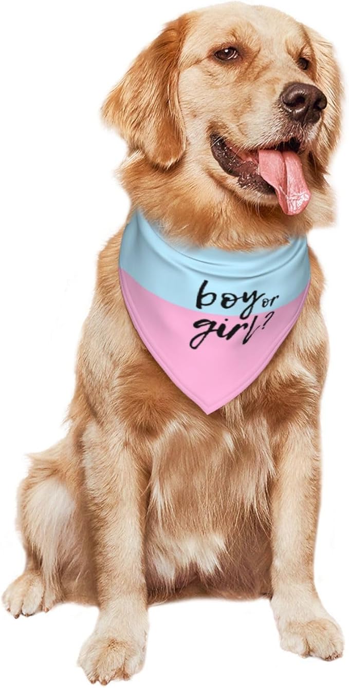 He Or She What Will It Be? Gender Reveal/Baby Announcement Dog Bandana,Pet Neckerchief for Pets Daily Wear Photo Prop Party Supplies (boy or Girl)