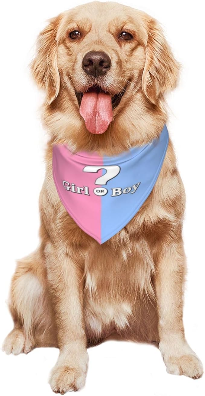 He Or She What Will It Be? Gender Reveal/Baby Announcement Dog Bandana,Pet Neckerchief for Pets Daily Wear Photo Prop Party Supplies (Pink)
