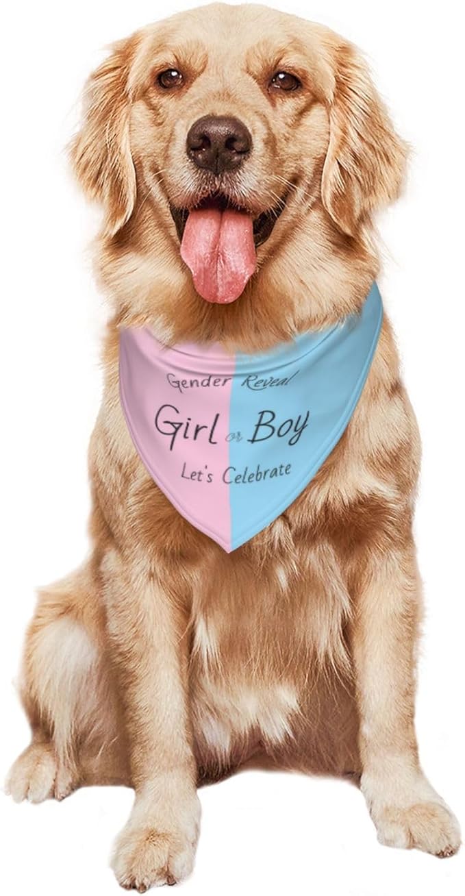 He Or She What Will It Be? Gender Reveal/Baby Announcement Dog Bandana,Pet Neckerchief for Pets Daily Wear Photo Prop Party Supplies (Gender Reveal)