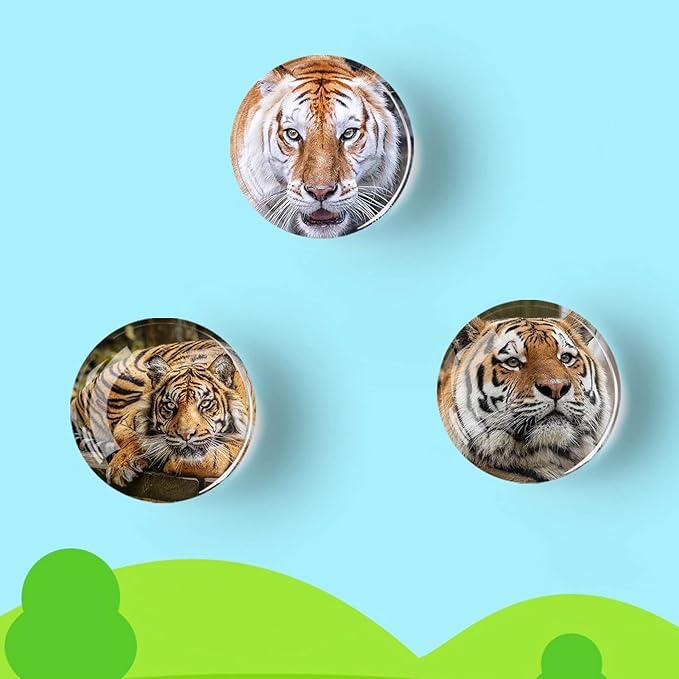 12Pcs Glass Refrigerator Magnets - Fridge Magnets Decoration for Classroom, Locker, Office Whiteboards, Cabinet, Dishwasher and Magnetic Surfaces (Tiger)