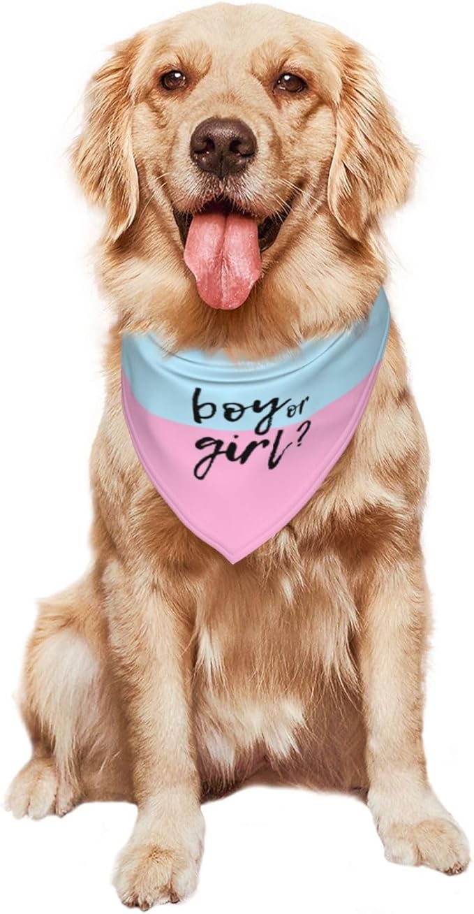 He Or She What Will It Be? Gender Reveal/Baby Announcement Dog Bandana,Pet Neckerchief for Pets Daily Wear Photo Prop Party Supplies (boy or Girl)