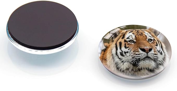 12Pcs Glass Refrigerator Magnets - Fridge Magnets Decoration for Classroom, Locker, Office Whiteboards, Cabinet, Dishwasher and Magnetic Surfaces (Tiger)