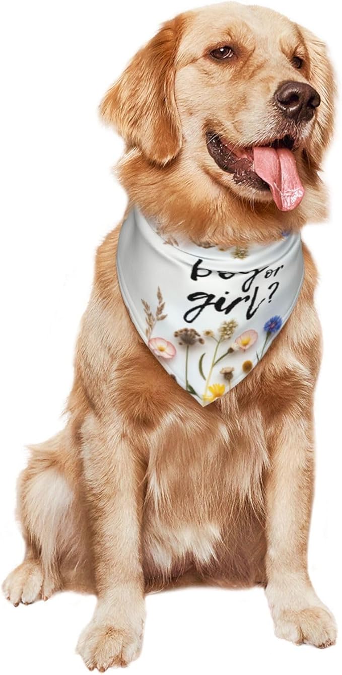 He Or She What Will It Be? Gender Reveal/Baby Announcement Dog Bandana,Pet Neckerchief for Pets Daily Wear Photo Prop Party Supplies (Blue Flower)