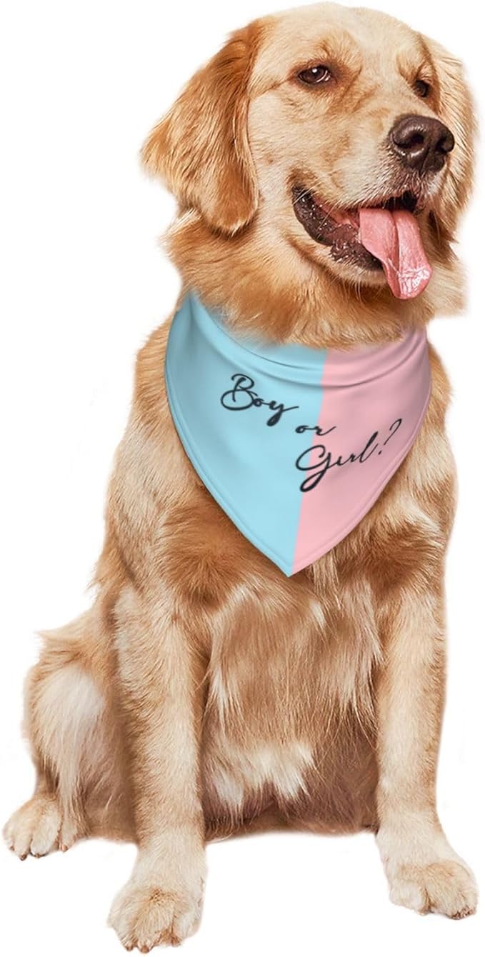 He Or She What Will It Be? Gender Reveal/Baby Announcement Dog Bandana,Pet Neckerchief for Pets Daily Wear Photo Prop Party Supplies (boy or Girl-2)