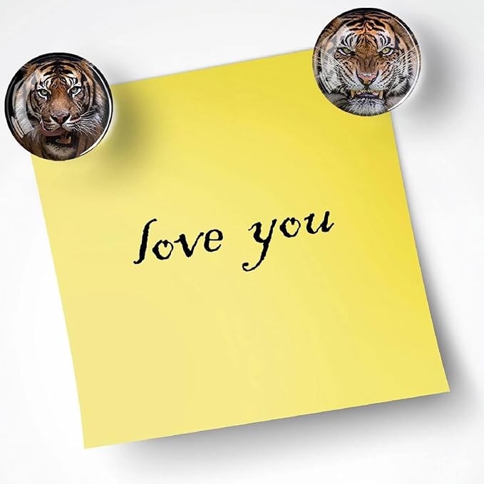12Pcs Glass Refrigerator Magnets - Fridge Magnets Decoration for Classroom, Locker, Office Whiteboards, Cabinet, Dishwasher and Magnetic Surfaces (Tiger)