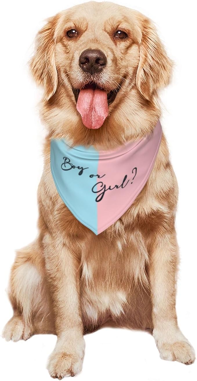 He Or She What Will It Be? Gender Reveal/Baby Announcement Dog Bandana,Pet Neckerchief for Pets Daily Wear Photo Prop Party Supplies (boy or Girl-2)