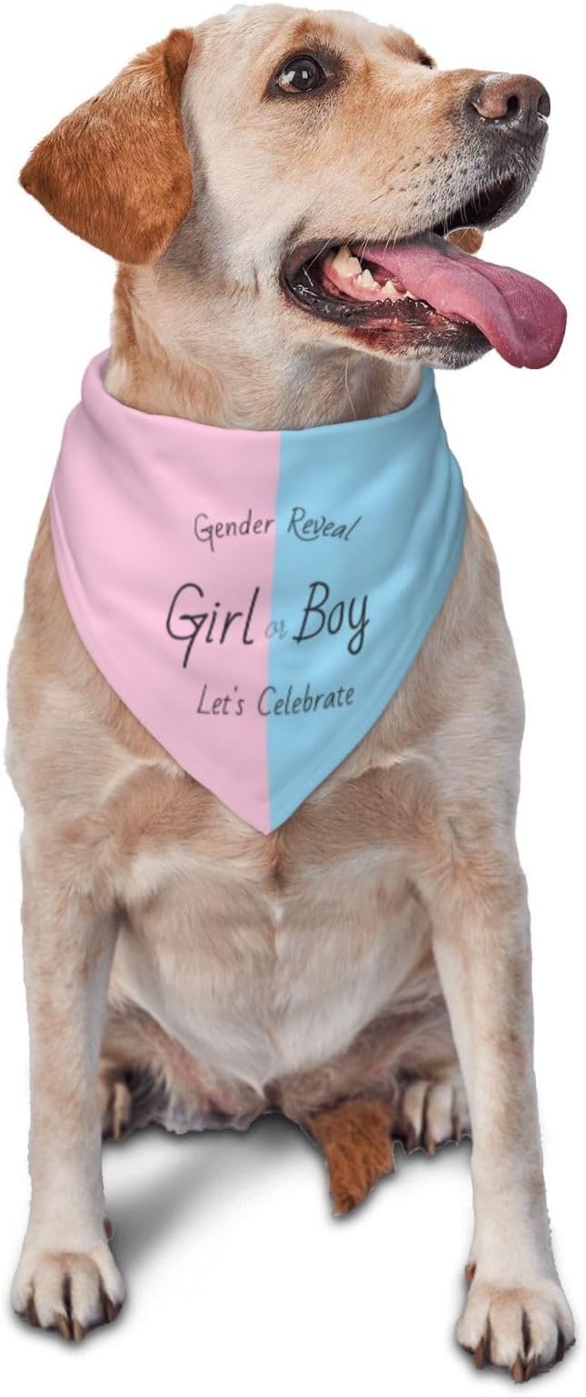 He Or She What Will It Be? Gender Reveal/Baby Announcement Dog Bandana,Pet Neckerchief for Pets Daily Wear Photo Prop Party Supplies (Gender Reveal)