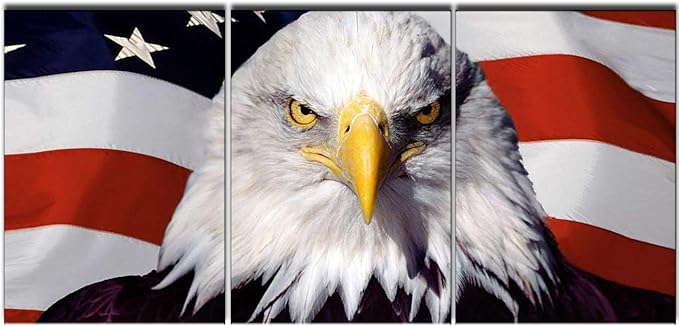 Native America Flags Paintings Bald Eagle Head Pictures for Living Room Patriotism Artwork 3 Piece Canvas Prints Wall Art Modern House Decorations Framed Gallery-Wrapped Ready to Hang(60''Wx28''H)
