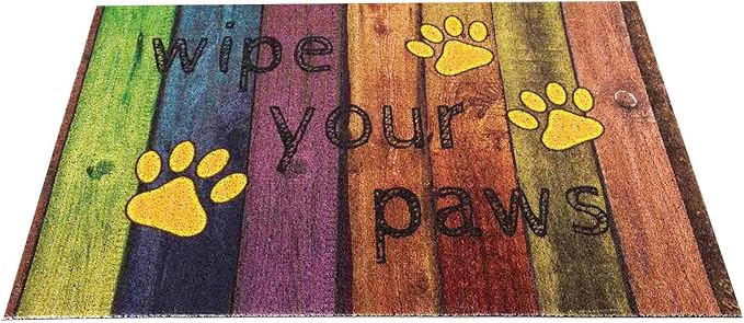 Darkyazi Colorful Doormats Entrance Front Door Rug Funny Outdoors/Indoor/Bathroom/Kitchen/Bedroom/Entryway Floor Mats，Non-Slip Polyvinyl Chloride (24"×16", Wipe Your Paws-Yellow)