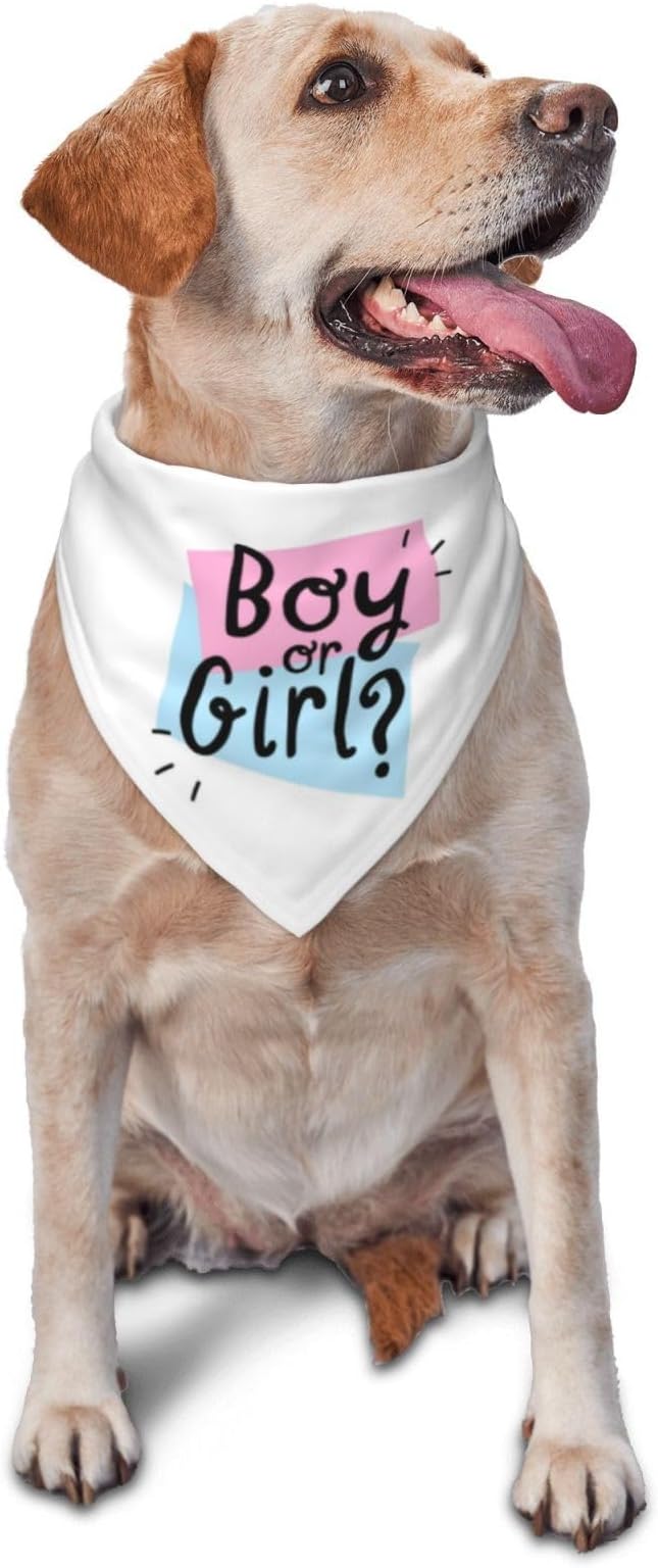 He Or She What Will It Be? Gender Reveal/Baby Announcement Dog Bandana,Pet Neckerchief for Pets Daily Wear Photo Prop Party Supplies (White -1)