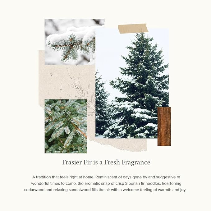 Thymes Frasier Fir Pine Needle Candle – Holiday Candles for Home Scented with Notes of Crisp Siberian Fir, Cedarwood & Sandalwood – Christmas Decor – Christmas Gifts for Women & Men (13 oz)