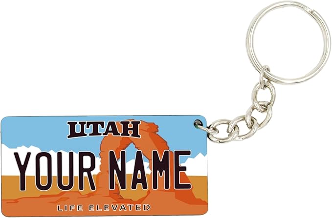 License Plate Keychain - Personalized - All States Multicolor