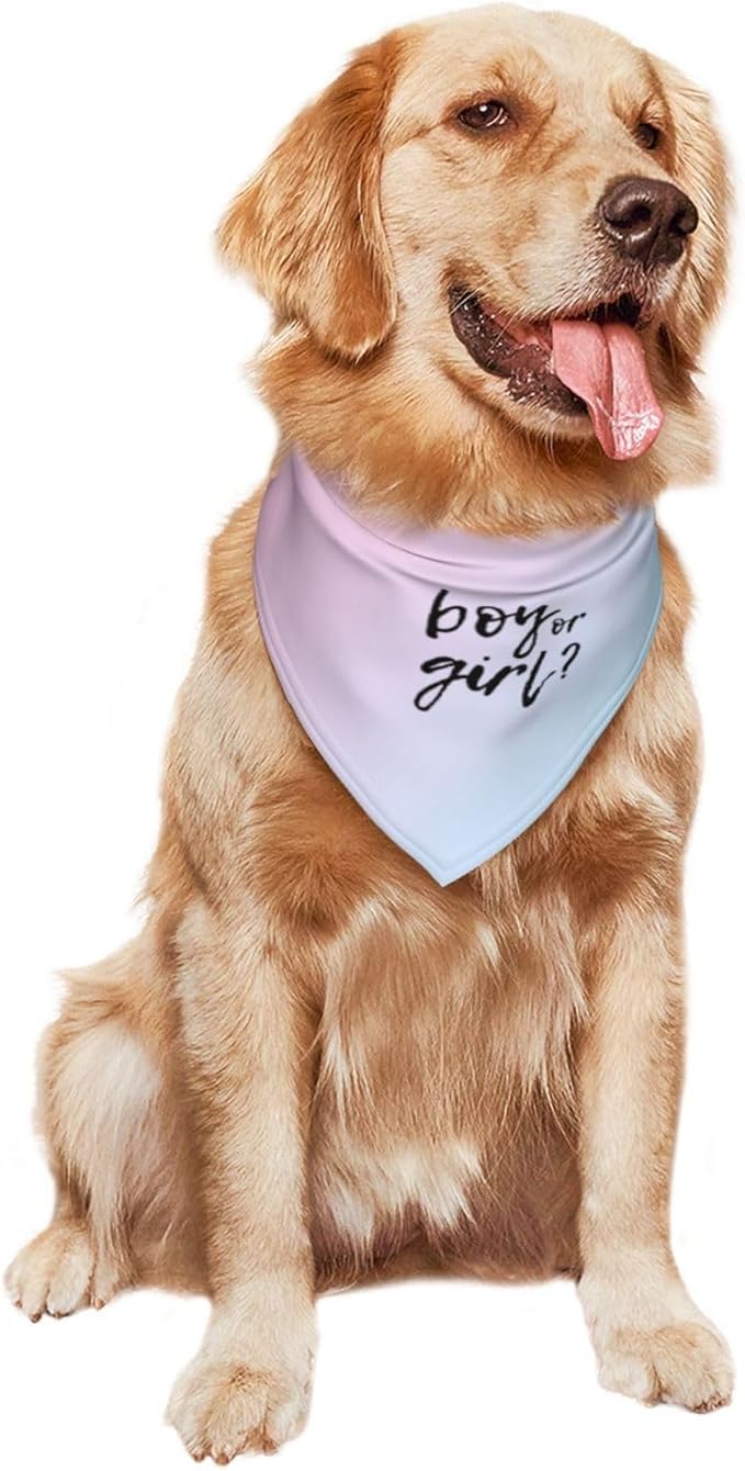 He Or She What Will It Be? Gender Reveal/Baby Announcement Dog Bandana,Pet Neckerchief for Pets Daily Wear Photo Prop Party Supplies (Gradient)