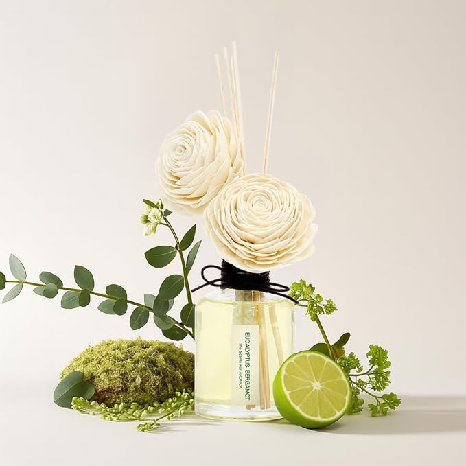 Aronica Twin Sola Diffuser 160ml_Eucalyptus and Bergamot Essential Oil Sticks, Non Toxic Reed Diffusers for Home, Natural Gift for Men, Rosemary Aromatherapy