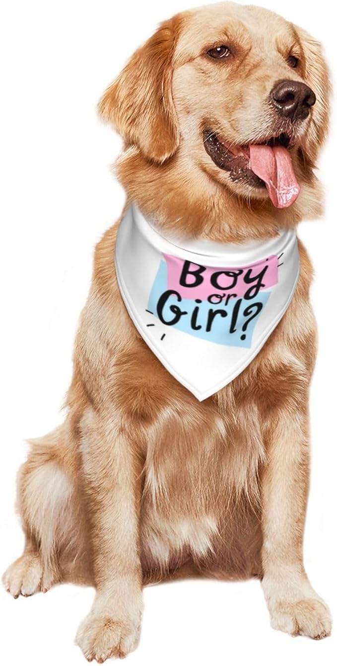 He Or She What Will It Be? Gender Reveal/Baby Announcement Dog Bandana,Pet Neckerchief for Pets Daily Wear Photo Prop Party Supplies (White -1)