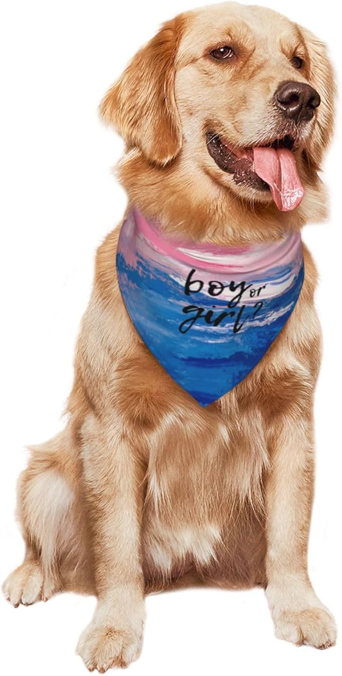 He Or She What Will It Be? Gender Reveal/Baby Announcement Dog Bandana,Pet Neckerchief for Pets Daily Wear Photo Prop Party Supplies (Oil Paint Style)