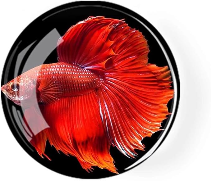 12Pcs Glass Refrigerator Magnets - Fridge Magnets Decoration for Classroom, Locker, Office Whiteboards, Cabinet, Dishwasher and Magnetic Surfaces (Goldfish)
