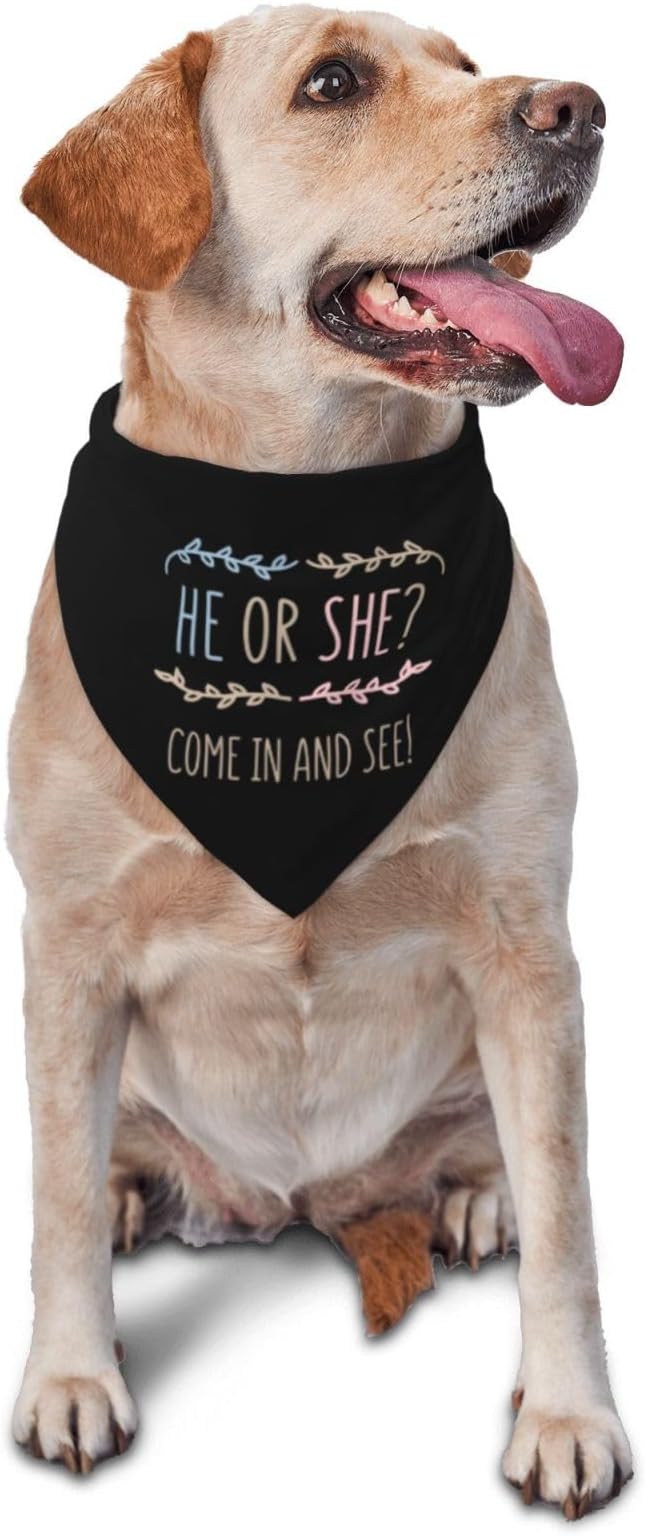 He Or She What Will It Be? Gender Reveal/Baby Announcement Dog Bandana,Pet Neckerchief for Pets Daily Wear Photo Prop Party Supplies (Light Color-Black)