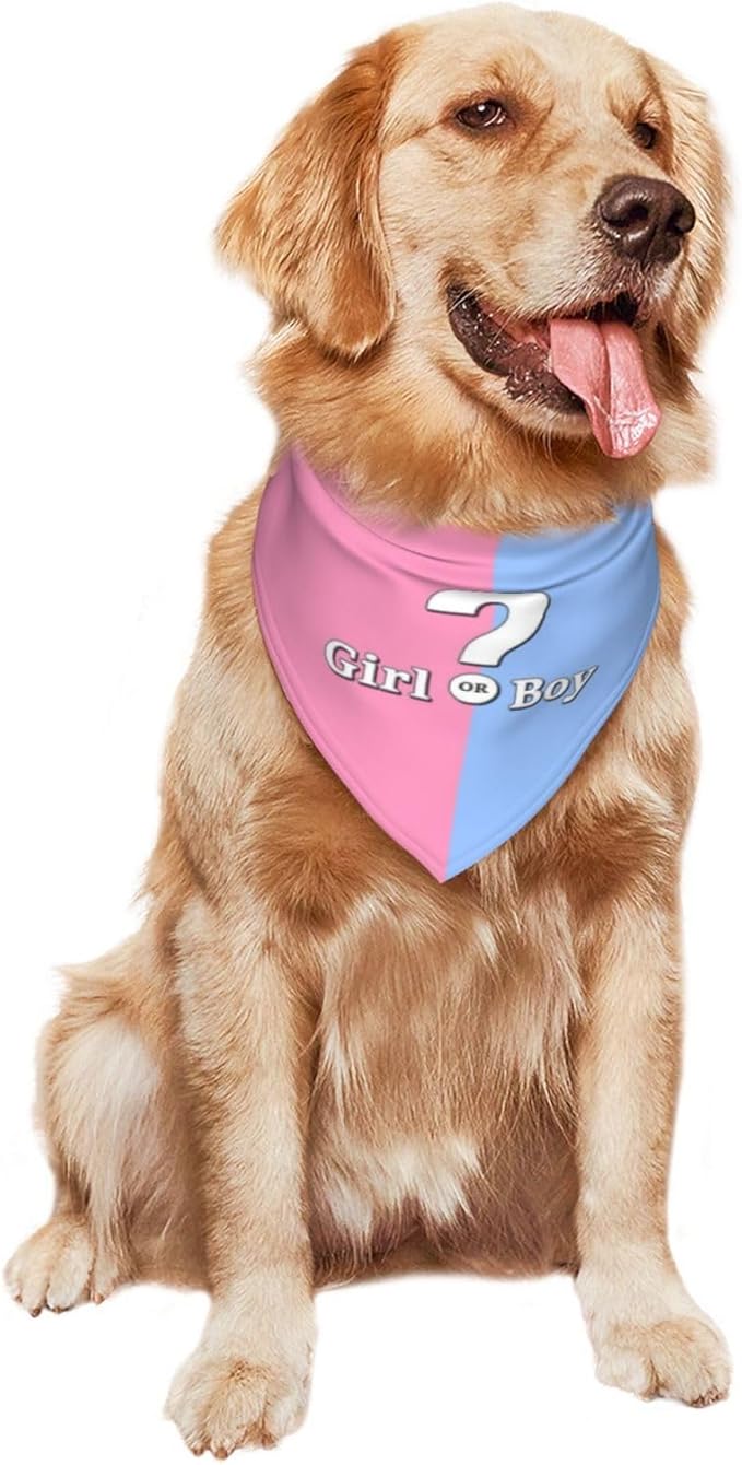 He Or She What Will It Be? Gender Reveal/Baby Announcement Dog Bandana,Pet Neckerchief for Pets Daily Wear Photo Prop Party Supplies (Pink)