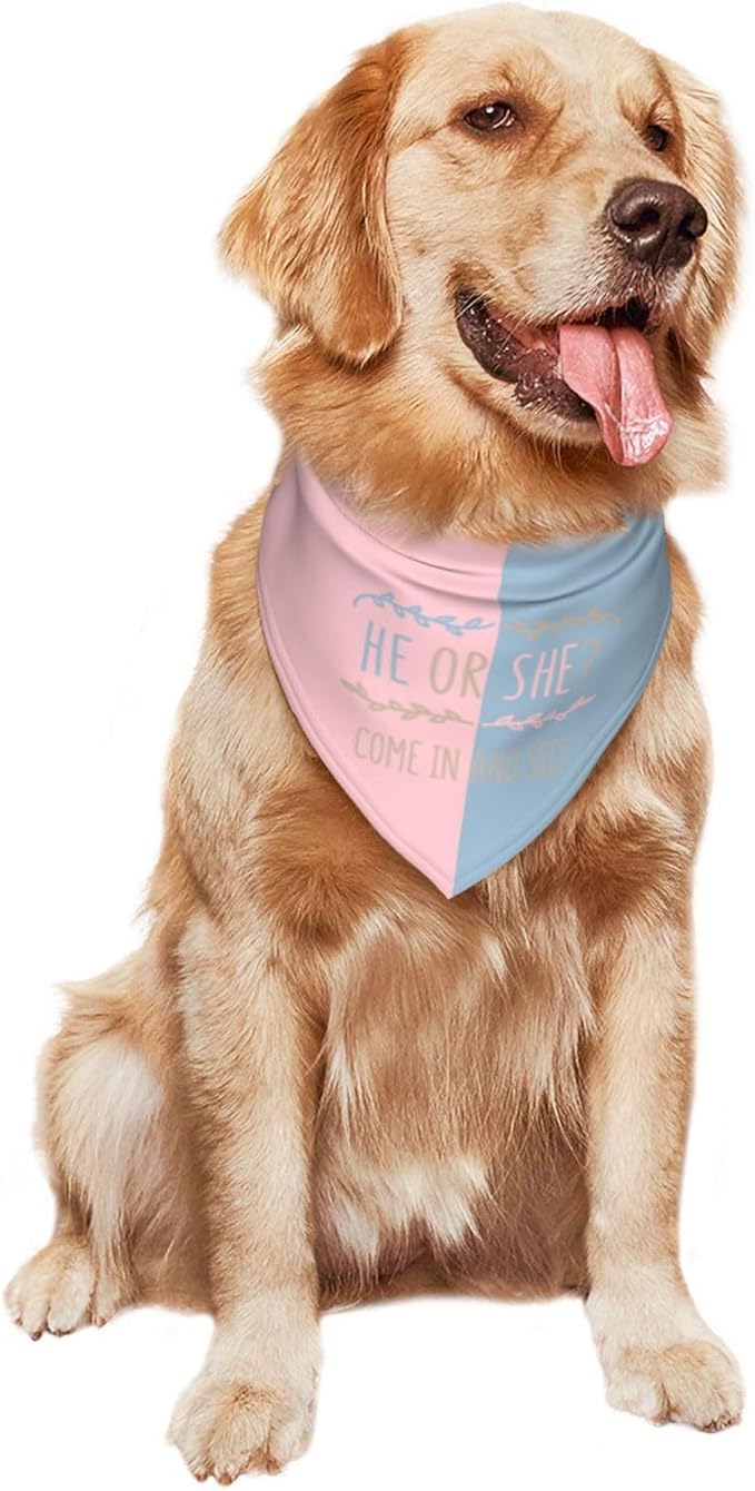 He Or She What Will It Be? Gender Reveal/Baby Announcement Dog Bandana,Pet Neckerchief for Pets Daily Wear Photo Prop Party Supplies (Light Color)