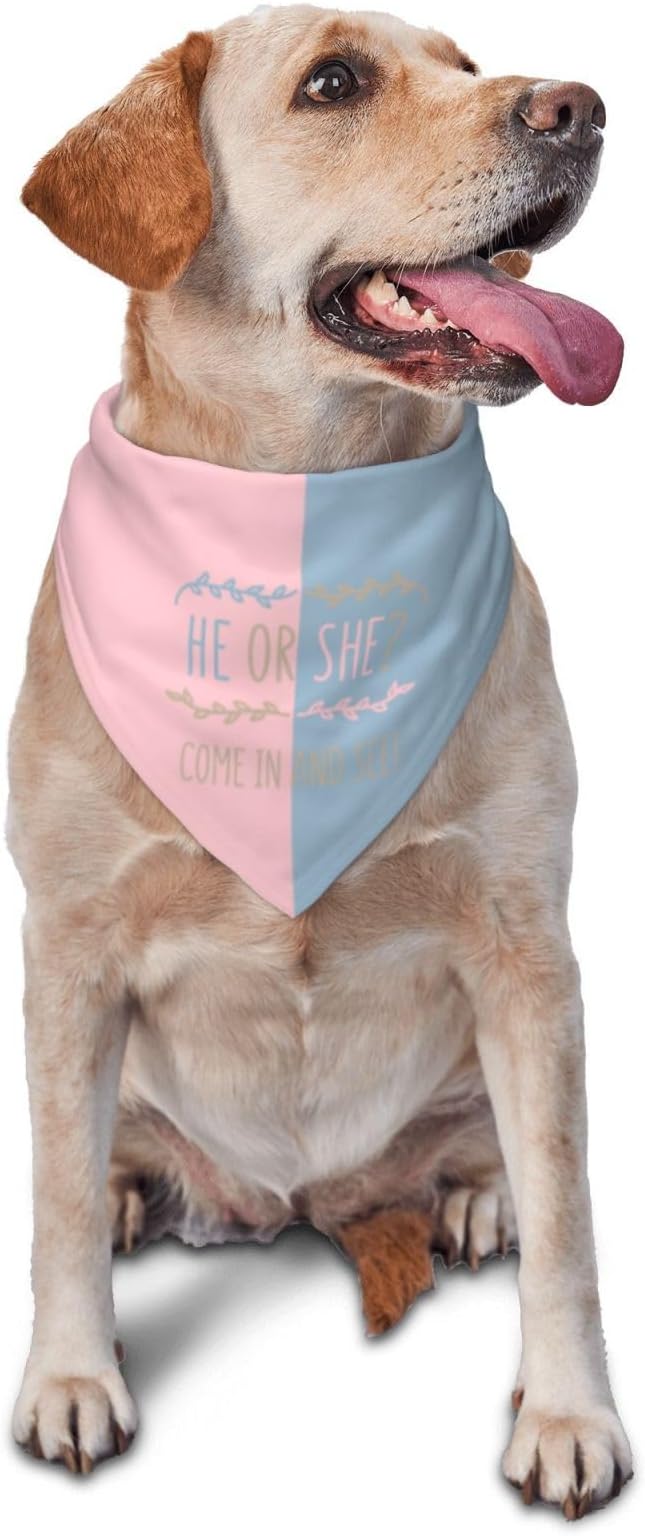 He Or She What Will It Be? Gender Reveal/Baby Announcement Dog Bandana,Pet Neckerchief for Pets Daily Wear Photo Prop Party Supplies (Light Color)