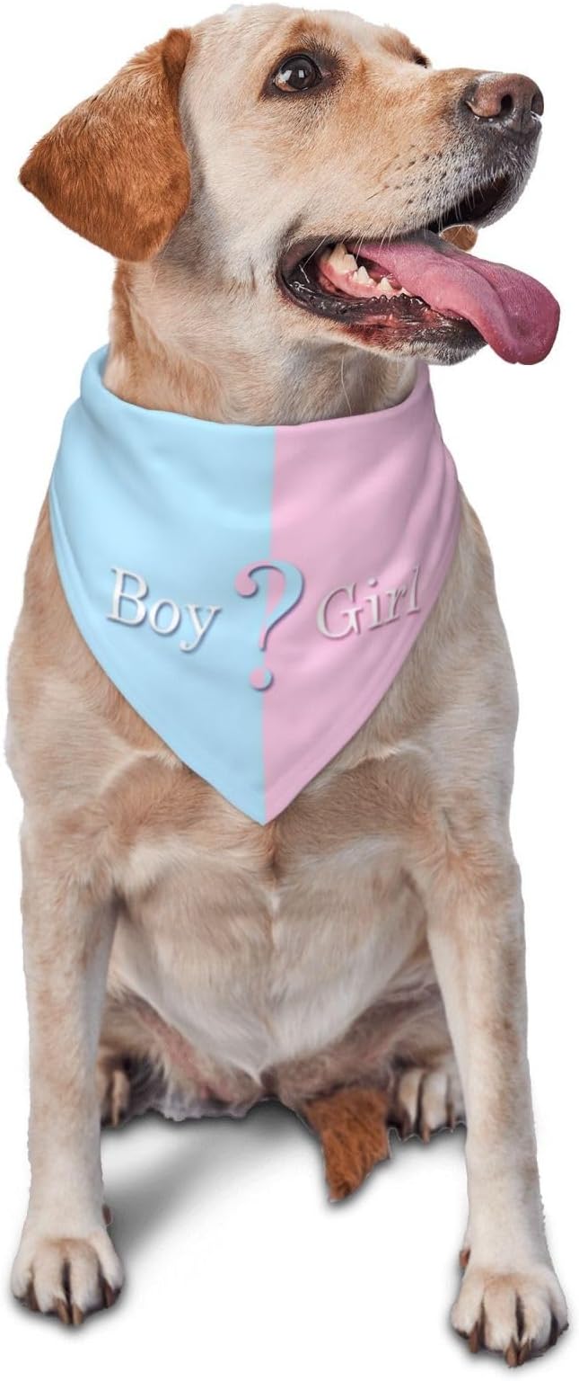 He Or She What Will It Be? Gender Reveal/Baby Announcement Dog Bandana,Pet Neckerchief for Pets Daily Wear Photo Prop Party Supplies (Blue)