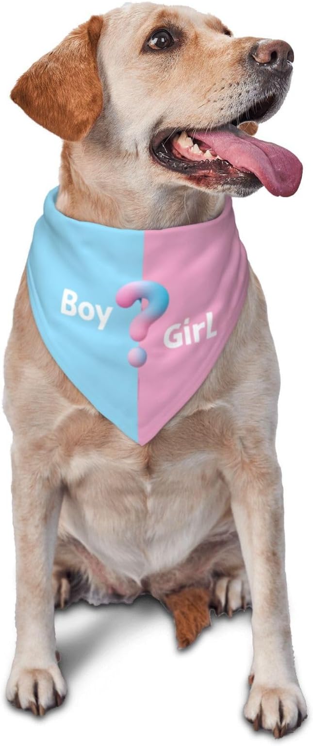 He Or She What Will It Be? Gender Reveal/Baby Announcement Dog Bandana,Pet Neckerchief for Pets Daily Wear Photo Prop Party Supplies (Three-Dimensional?)