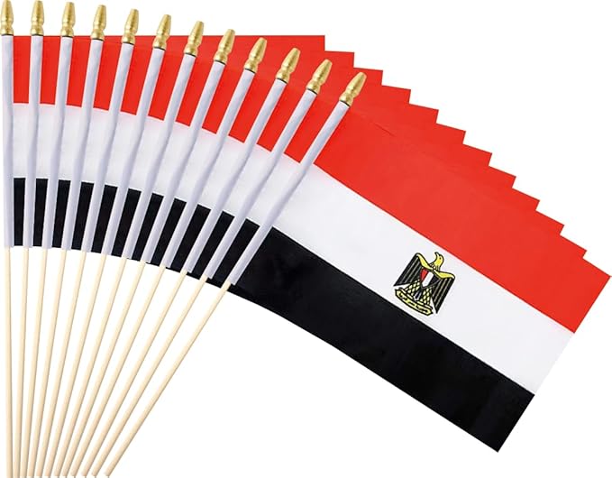 25Pack Small Egypt Flag Handheld Mini Egyptian Flags on Stick 5x8 Inch