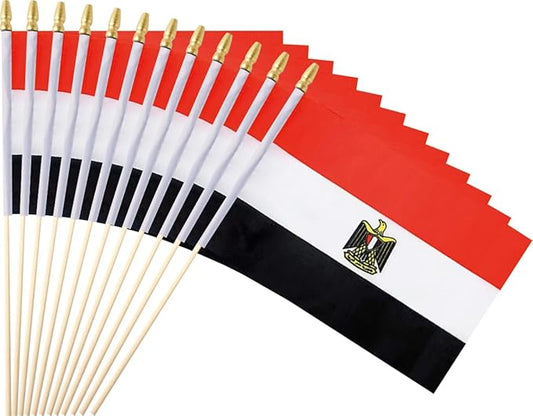 25Pack Small Egypt Flag Handheld Mini Egyptian Flags on Stick 5x8 Inch