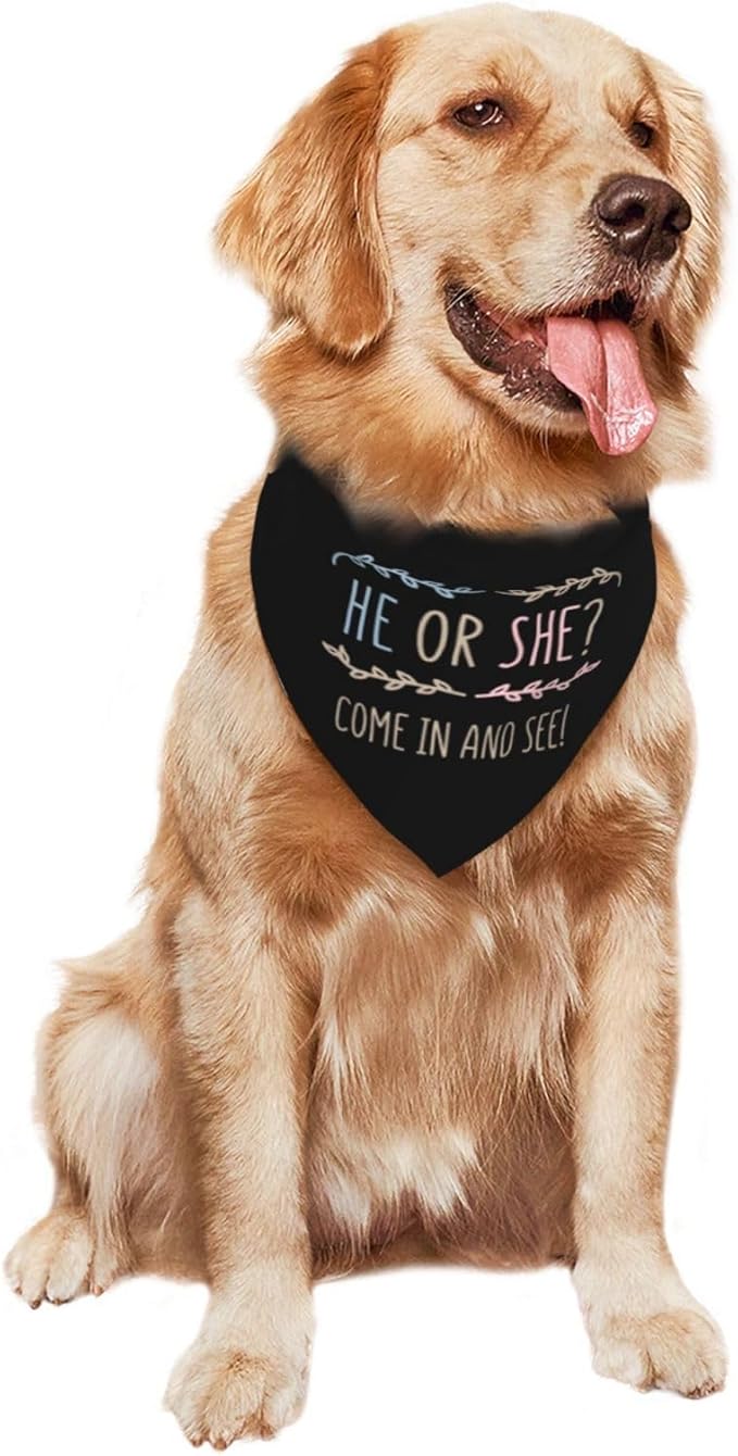 He Or She What Will It Be? Gender Reveal/Baby Announcement Dog Bandana,Pet Neckerchief for Pets Daily Wear Photo Prop Party Supplies (Light Color-Black)