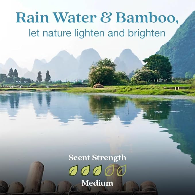 Enviroscent Non Toxic Air Freshener Plug-in Home Fragrance Last 45+ Days | Kit includes 1 Refillable Plug In Warmer & 1 Scent Refill (Rainwater & Bamboo)