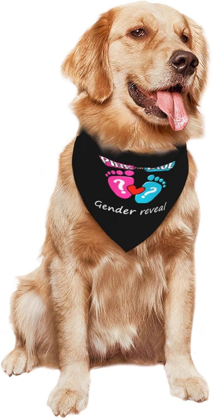 He Or She What Will It Be? Gender Reveal/Baby Announcement Dog Bandana,Pet Neckerchief for Pets Daily Wear Photo Prop Party Supplies (Black -01)