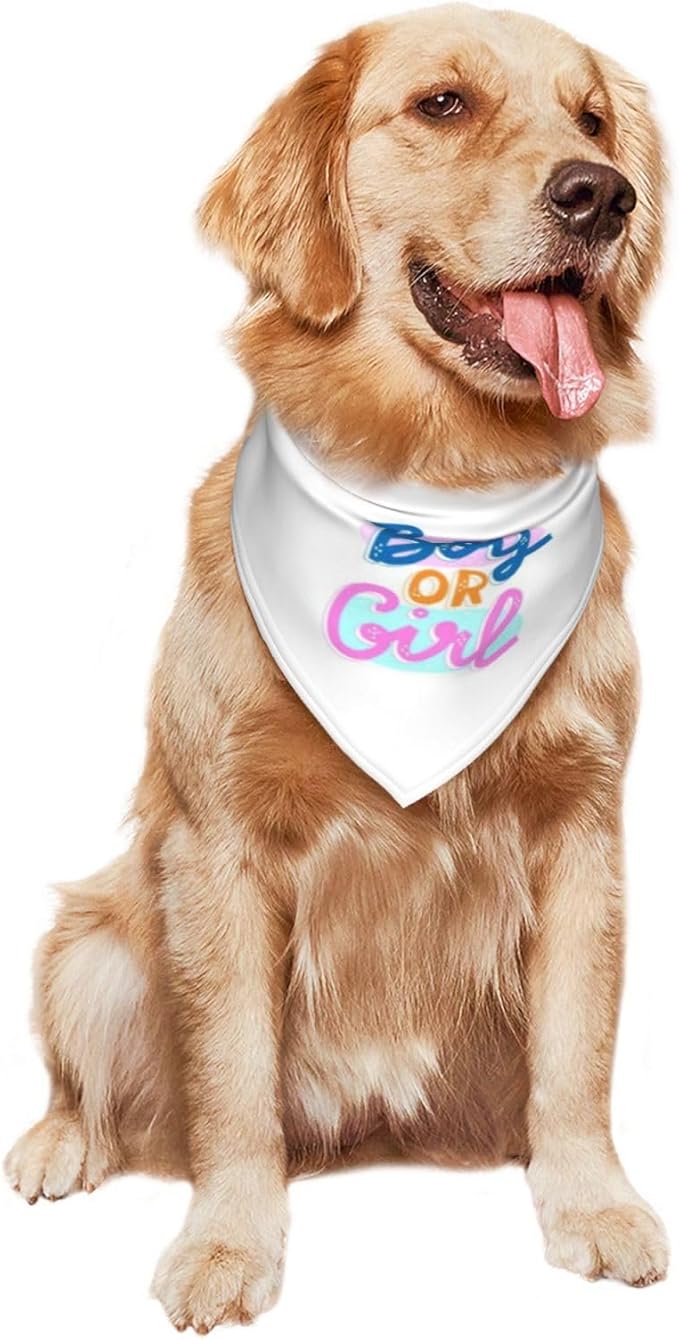 He Or She What Will It Be? Gender Reveal/Baby Announcement Dog Bandana,Pet Neckerchief for Pets Daily Wear Photo Prop Party Supplies (White -2)