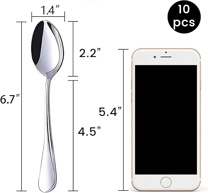HANSGO Teaspoons Stainless Steel, 6.7 inches Dessert Spoons Silverware Tablespoon for Coffee Cereal Eating, Home Dinner, Kitchen or Restaurant,10PCS