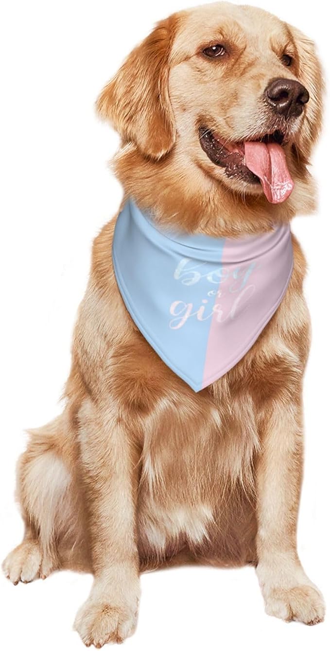 He Or She What Will It Be? Gender Reveal/Baby Announcement Dog Bandana,Pet Neckerchief for Pets Daily Wear Photo Prop Party Supplies (Sequins)