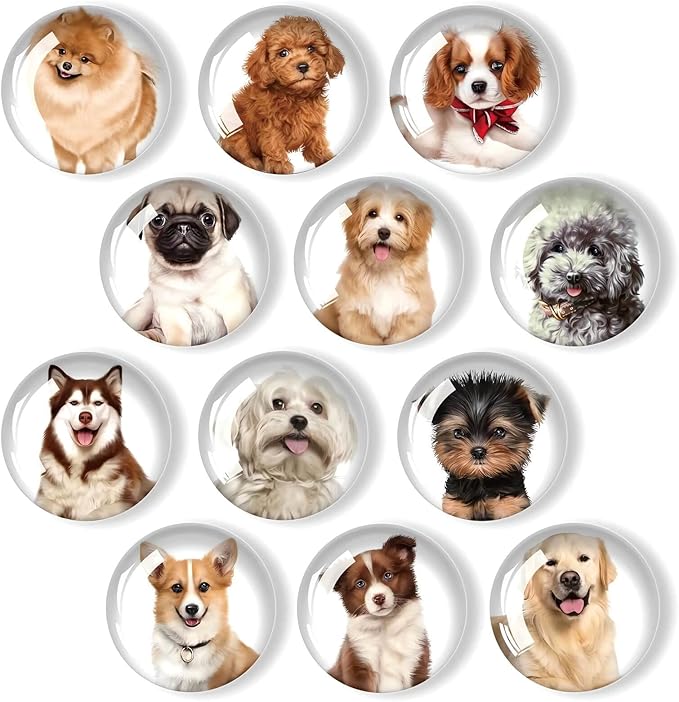 12Pcs Glass Refrigerator Magnets - Fridge Magnets Decoration for Classroom, Locker, Office Whiteboards, Cabinet, Dishwasher and Magnetic Surfaces (Cute Dogs)