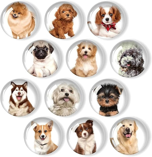 12Pcs Glass Refrigerator Magnets - Fridge Magnets Decoration for Classroom, Locker, Office Whiteboards, Cabinet, Dishwasher and Magnetic Surfaces (Cute Dogs)