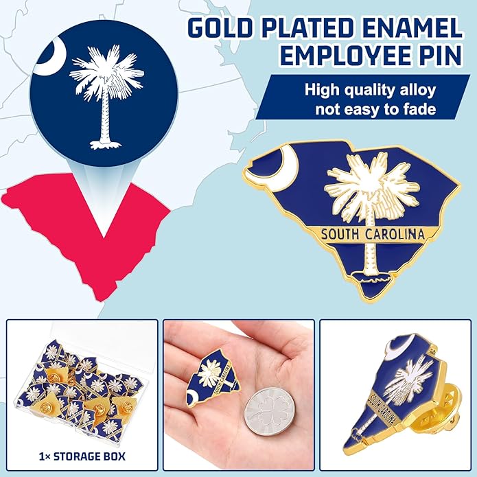 25 Pcs USA State Lapel Pins Bulk Texas California Florida Tennessee South Carolina Patriotic Traveler Souvenir Gifts