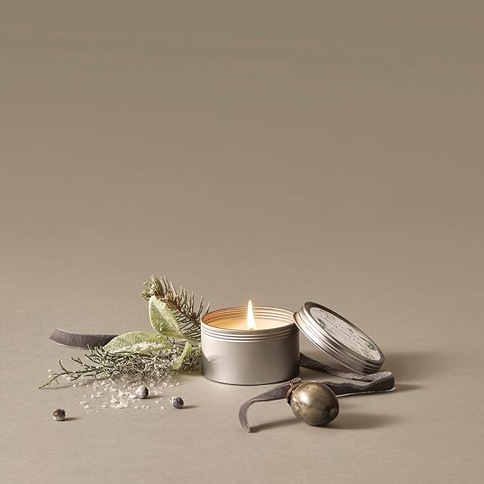 Thymes Travel Tin Holiday Candles - Scented Candles for Home Decor - Winter Scents - Christmas Gifts - Luxury Home Fragrance Gifts for Women & Men - Silver (Highland Frost, 2.5 oz)