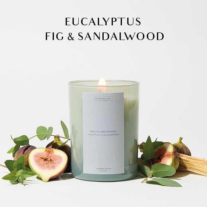 Eucalyptus Fig & Sandalwood Scented Candle | 11oz, 60 Hour Burn | Natural Soy Wax, Cotton Wick | Soy Scented Candles for Home Fragrance | Sun-Kissed Collection - Pacific Driftwood