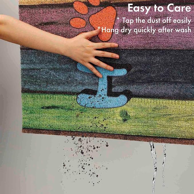 Darkyazi Colorful Doormats Entrance Front Door Rug Funny Outdoors/Indoor/Bathroom/Kitchen/Bedroom/Entryway Floor Mats，Non-Slip Polyvinyl Chloride (24"×16", Home)