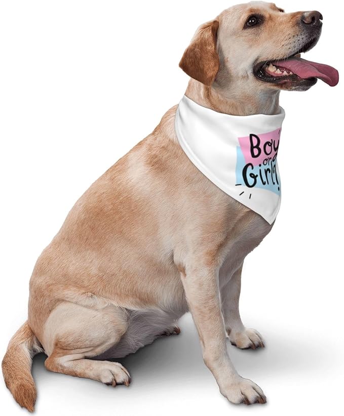 He Or She What Will It Be? Gender Reveal/Baby Announcement Dog Bandana,Pet Neckerchief for Pets Daily Wear Photo Prop Party Supplies (White -1)