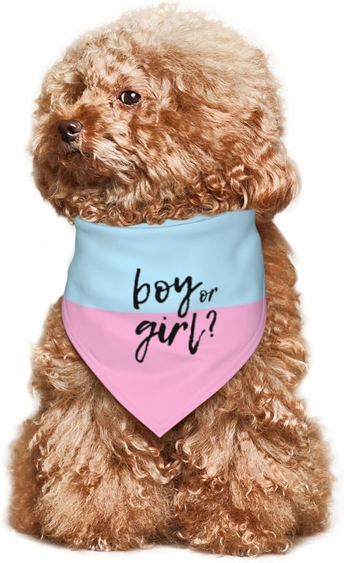 He Or She What Will It Be? Gender Reveal/Baby Announcement Dog Bandana,Pet Neckerchief for Pets Daily Wear Photo Prop Party Supplies (boy or Girl)