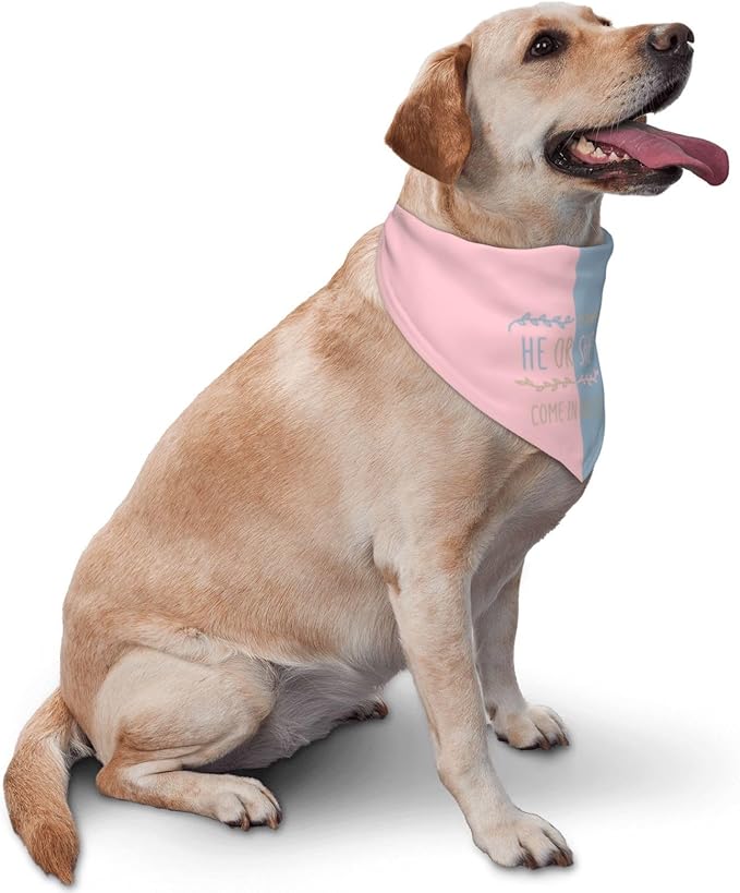 He Or She What Will It Be? Gender Reveal/Baby Announcement Dog Bandana,Pet Neckerchief for Pets Daily Wear Photo Prop Party Supplies (Light Color)